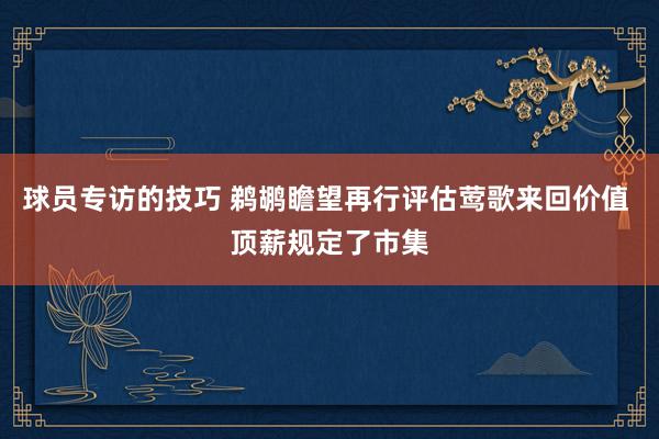 球员专访的技巧 鹈鹕瞻望再行评估莺歌来回价值 顶薪规定了市集