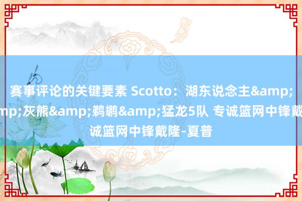 赛事评论的关键要素 Scotto：湖东说念主&快船&灰熊&鹈鹕&猛龙5队 专诚篮网中锋戴隆-夏普